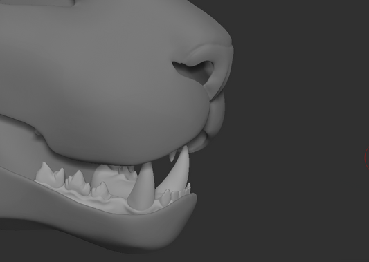 Generic small feline - Jawset
