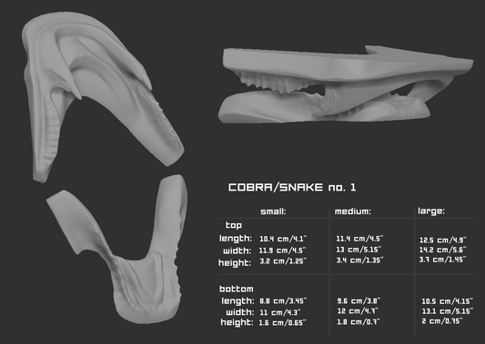 Gray 3D model of cobra snake teeth or jawset with size chart and measurements on a dark background.