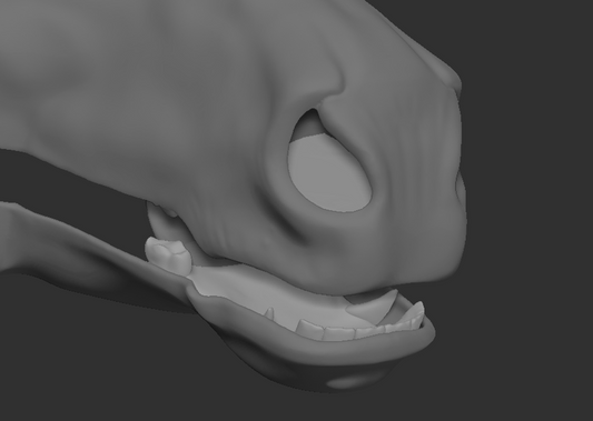 Horse, equine - Jawset