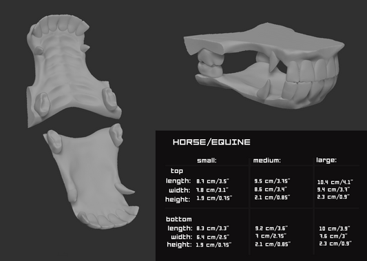 Horse, equine - Jawset