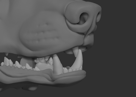 A 3D rendering of a wolf/canine fursuit jawset with detailed teeth in a light grey color, showcasing fit in a fursuit base and shown against a dark grey background.