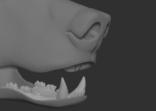 Grizzly, brown bear - Jawset