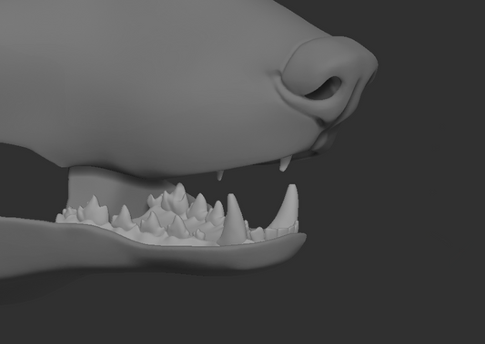 A 3D rendering of a fennec fox fursuit jawset with detailed teeth in a light grey color, showcasing fit in a fursuit base and shown against a dark grey background.