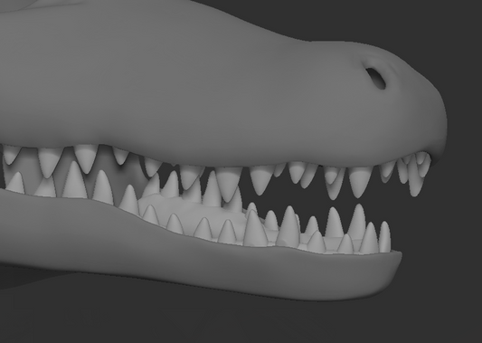 Alligator - Jawset