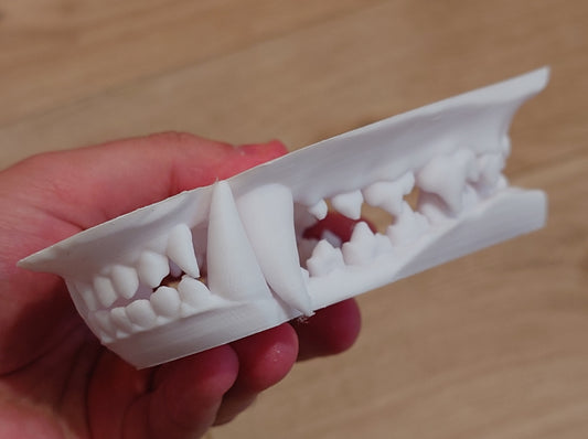 Discounted medium old canine jawset