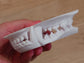 Discounted medium old canine jawset