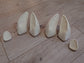Discounted large deer/ungulate hand hooves