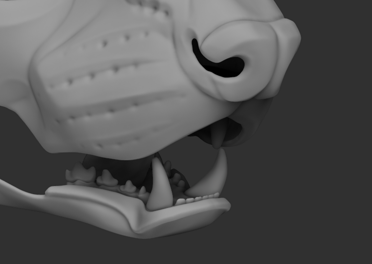 Gray 3D model of a ferret's head with open mouth showing teeth on a dark background.
