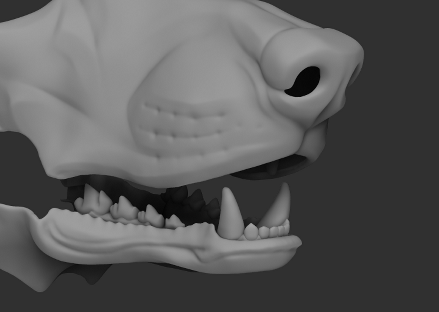 Gray 3D model of a poodle's head with open mouth showing teeth on a dark background

