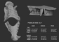 Gray 3D model of poodle teeth with size chart on a dark background