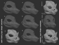Various eye shape variants for a spear-nosed bat mask on a dark background