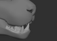 Generic small feline - Jawset