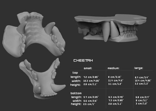 Two light grey 3D renderings of a cheetah fursuit jawset showcasing the jaws open and closed against a dark grey background; a size chart and measurements are shown to the right.