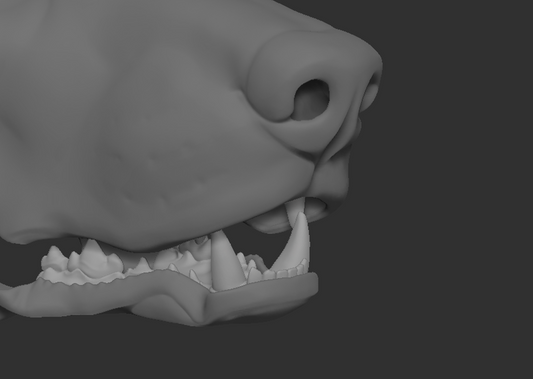 Doberman, dog - Jawset