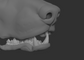 Doberman - Jawset