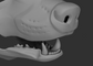 A 3D rendering of a badger fursuit jawset with detailed teeth in a light grey color, showcasing fit in a fursuit base and shown against a dark grey background.