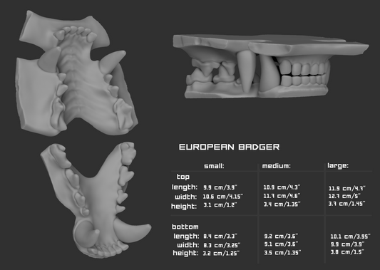 Two light grey 3D renderings of a badger fursuit jawset showcasing the jaws open and closed against a dark grey background; a size chart and measurements are shown to the right.