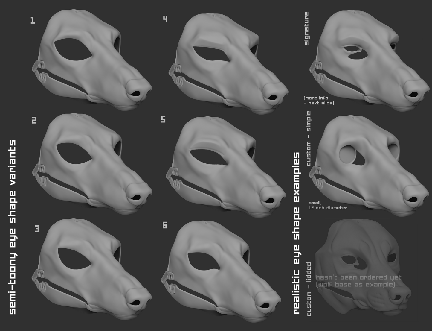 Borzoi - Head base