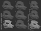 Light grey 3D renderings showcasing the various eye shape variants for a generic canine mask or fursuit base on a dark grey background.