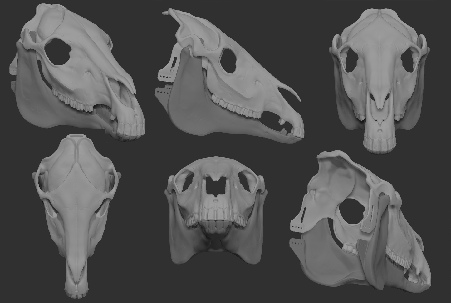 Gray 3D models of a horse/equine skull mask or fursuit base from different angles on a dark background.