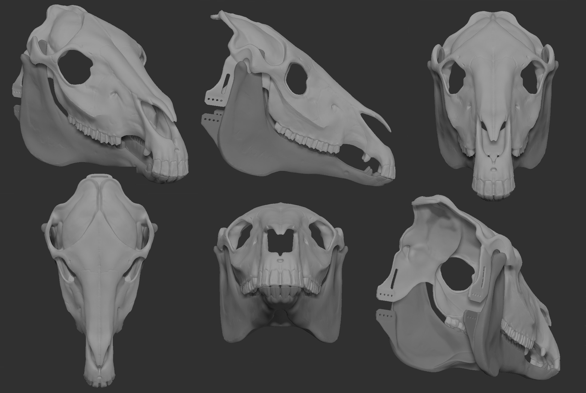 Gray 3D models of a horse/equine skull mask or fursuit base from different angles on a dark background.