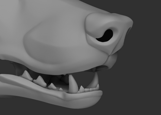 Generic simplified canine  - Jawset