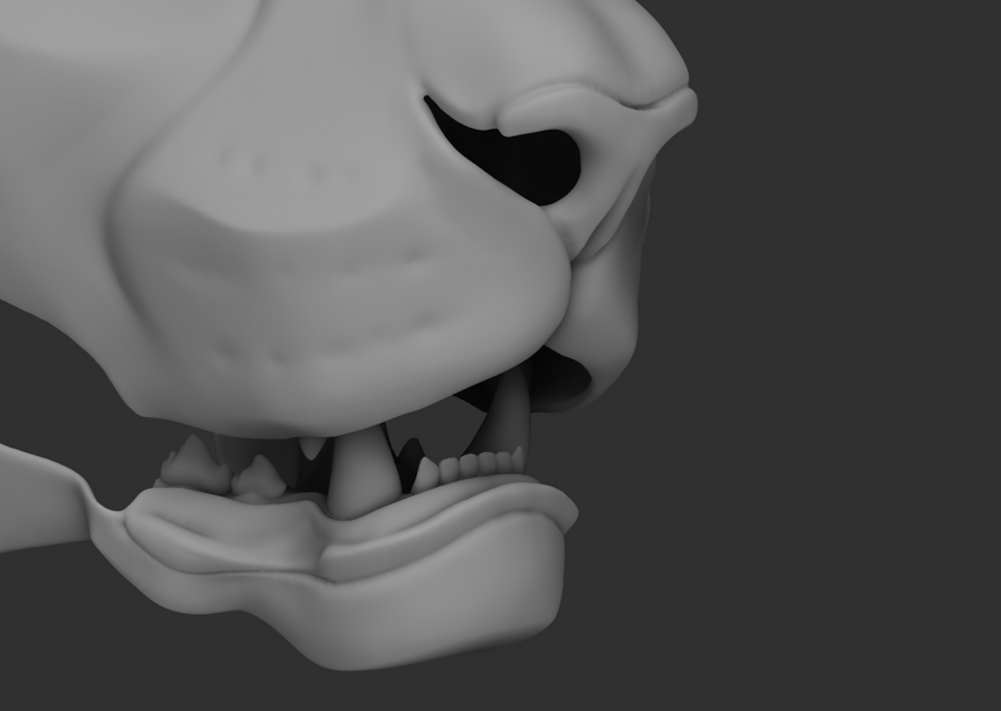 Lion, big cat - Jawset