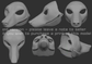 Generic simplified canine - Head base