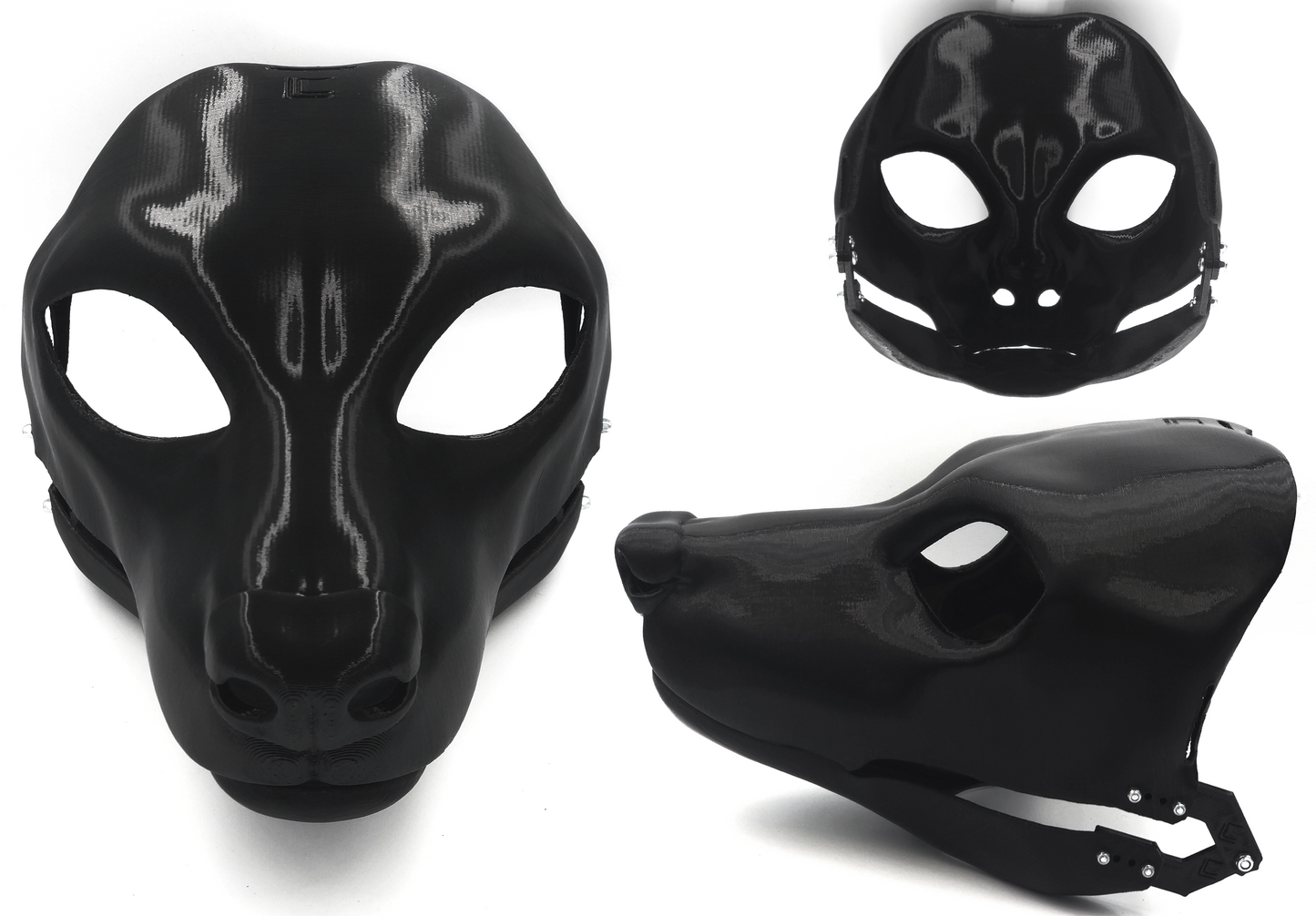 African wild/painted dog - Head base