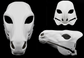 Horse/Equine - Head base