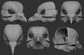 Gray 3D models of a pigeon mask or fursuit base from different angles on a dark background.