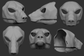Gray 3D models of a polar bear mask or fursuit base from different angles on a dark background.