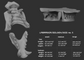 Gray 3D model of labrador dog teeth with size chart on a dark background
