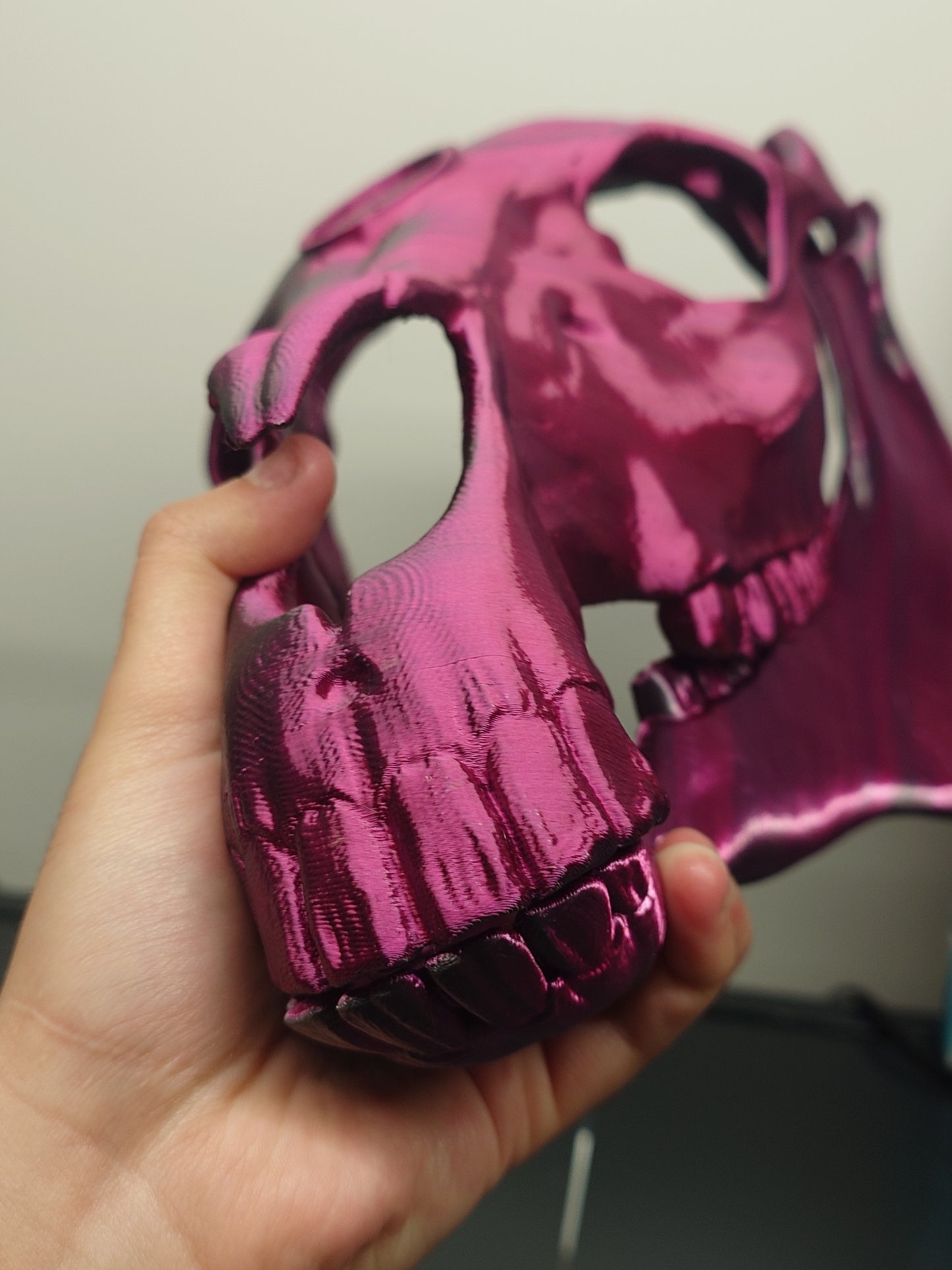 Discounted medium horse skull, PLA