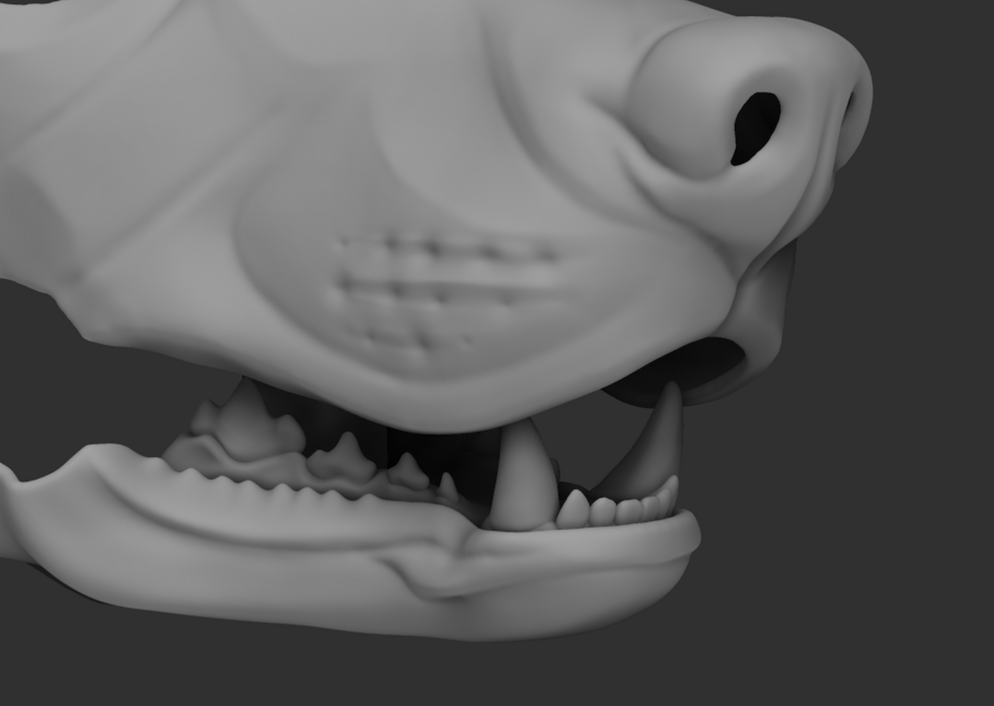 A 3D rendering of a samoyed dog fursuit jawset with detailed teeth in a light grey color, showcasing fit in a fursuit base and shown against a dark grey background.