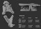 Two light grey 3D renderings of a samoyed dog fursuit jawset showcasing the jaws open and closed against a dark grey background; a size chart and measurements are shown to the right.