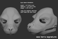 3D rendered example of a "signature" humanoid realistic eye style on a sea lion mask or fursuit base on a dark grey background.