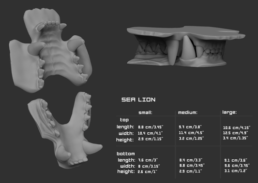 Two light grey 3D renderings of a sea lion fursuit jawset showcasing the jaws open and closed against a dark grey background; a size chart and measurements are shown to the right.