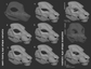 Various eye shape variants for an Eastern dragon mask/fursuit base on a dark background.