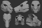Gray 3D models of an Eastern dragon mask or fursuit base from different angles on a dark background.