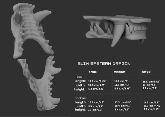 Gray 3D model of Eastern dragon teeth or jawset with size chart and measurements on a dark background.
