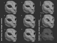 Light grey 3D renderings showcasing the various eye shape variants for a snow leopard mask or fursuit base on a dark grey background.