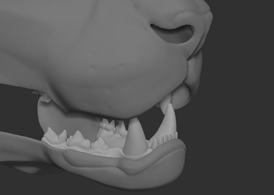 Tiger, big cat - Jawset