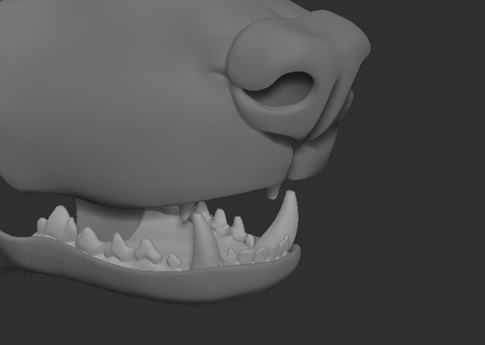 A 3D rendering of an african wild dog fursuit jawset with detailed teeth in a light grey color, showcasing fit in a fursuit base and shown against a dark grey background.
