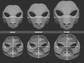 African wild/painted dog - Head base