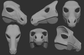 Horse/Equine - Head base