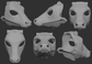Cow - Head base