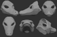 Alligator - Head base