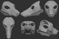 Borzoi - Head base