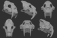 Smilodon - Skull base